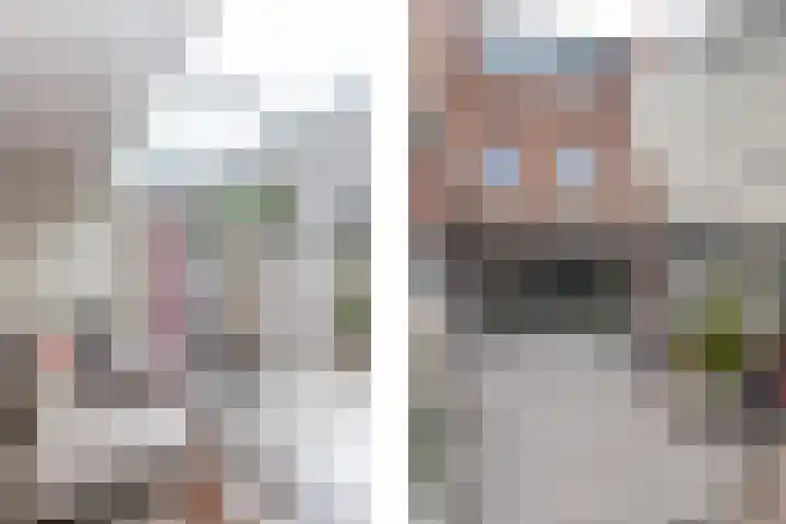 Steenvoordelaan 360 b Rijswijk thumbnail 14