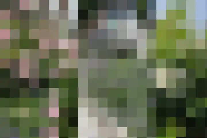 Steenvoordelaan 360 b Rijswijk thumbnail 16