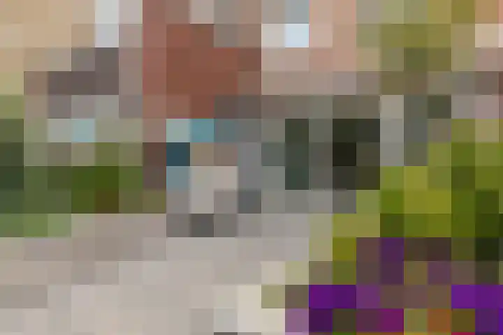 Steenvoordelaan 360 b Rijswijk thumbnail 17
