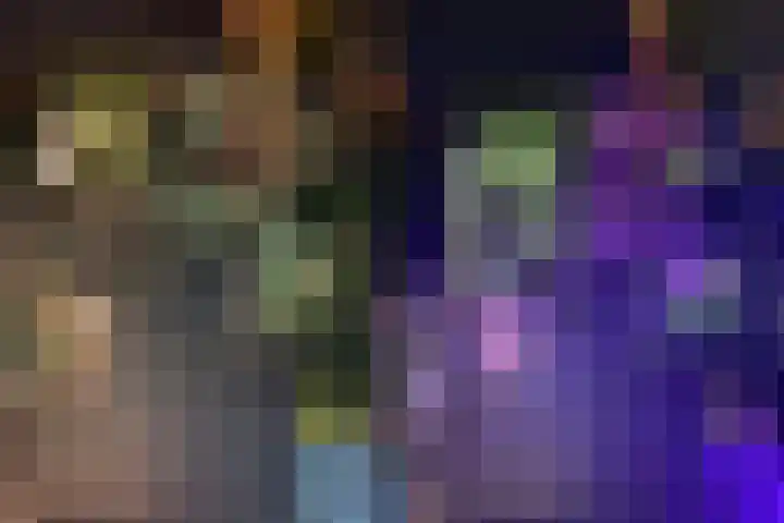 Steenvoordelaan 360 b Rijswijk thumbnail 20