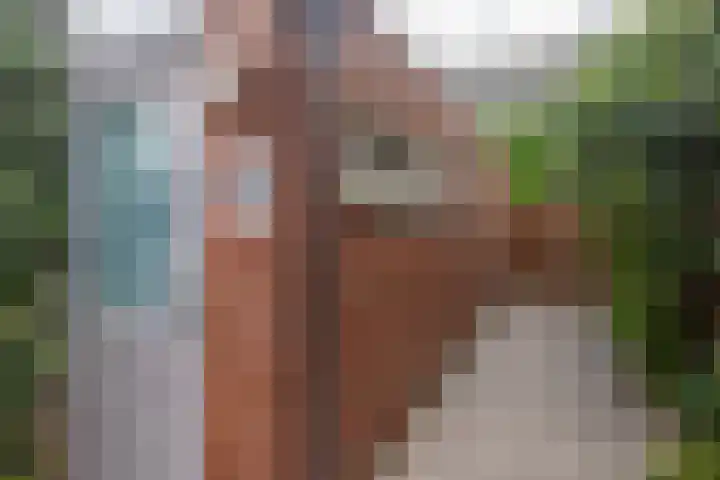 Steenvoordelaan 360 b Rijswijk thumbnail 21
