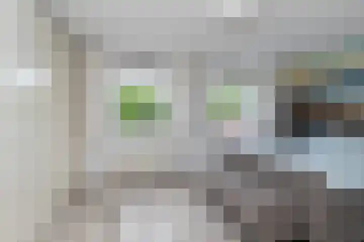 Steenvoordelaan 360 b Rijswijk thumbnail 22
