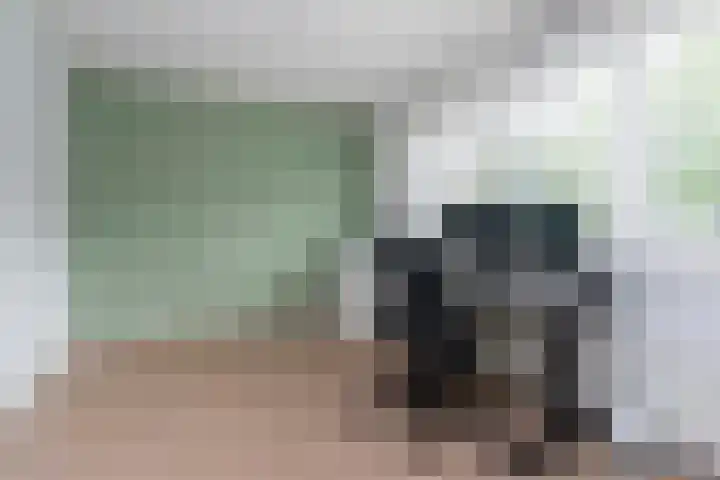 Steenvoordelaan 360 b Rijswijk thumbnail 25