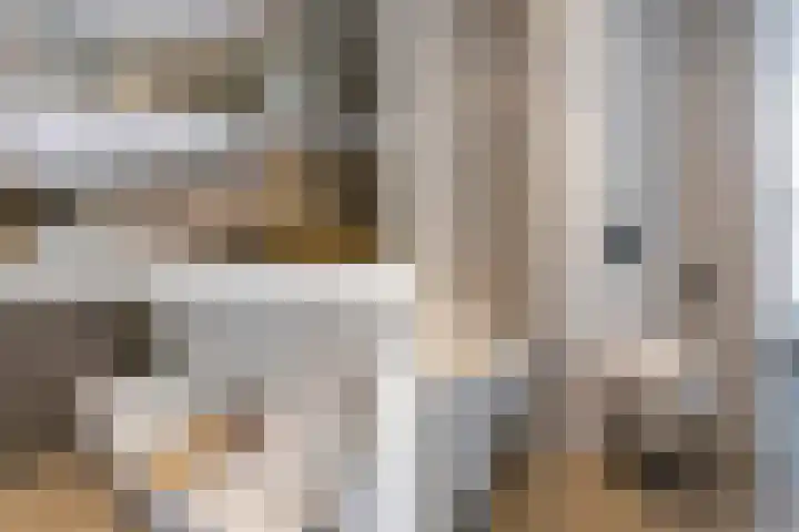 Steenvoordelaan 360 b Rijswijk thumbnail 28