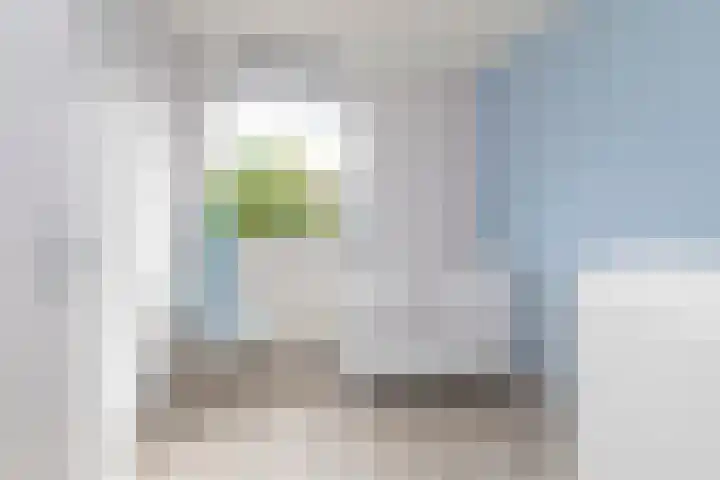Steenvoordelaan 360 b Rijswijk thumbnail 31