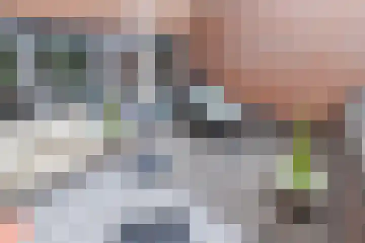 Steenvoordelaan 360 b Rijswijk thumbnail 33