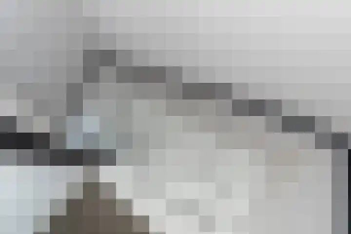 Steenvoordelaan 360 b Rijswijk thumbnail 39