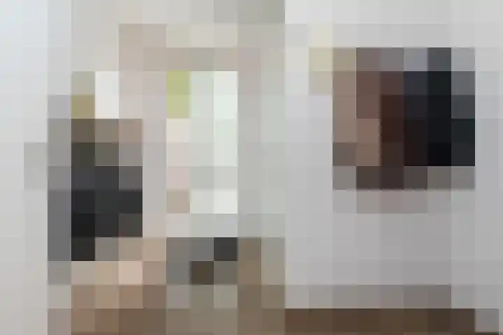 Steenvoordelaan 360 b Rijswijk thumbnail 41