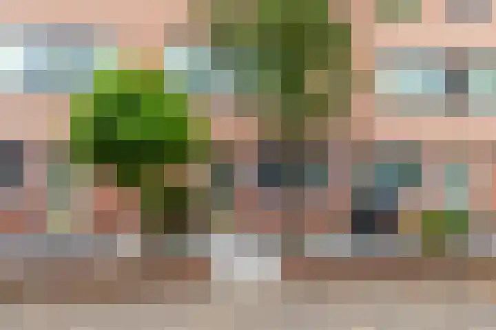 Steenvoordelaan 360 b Rijswijk thumbnail 5