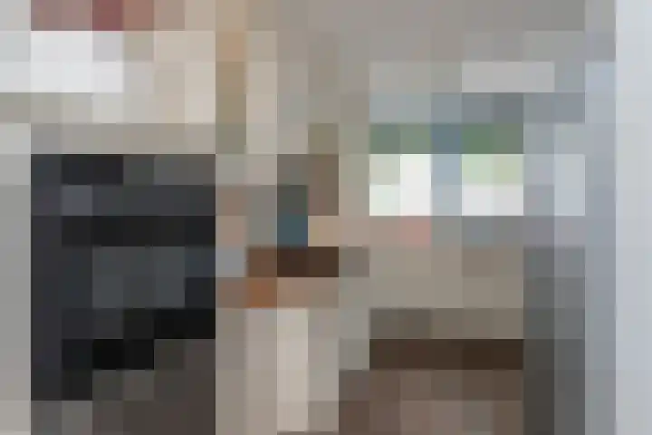 Steenvoordelaan 360 b Rijswijk thumbnail 7
