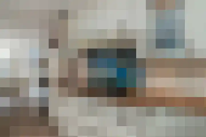 Steenvoordelaan 360 b Rijswijk thumbnail 8