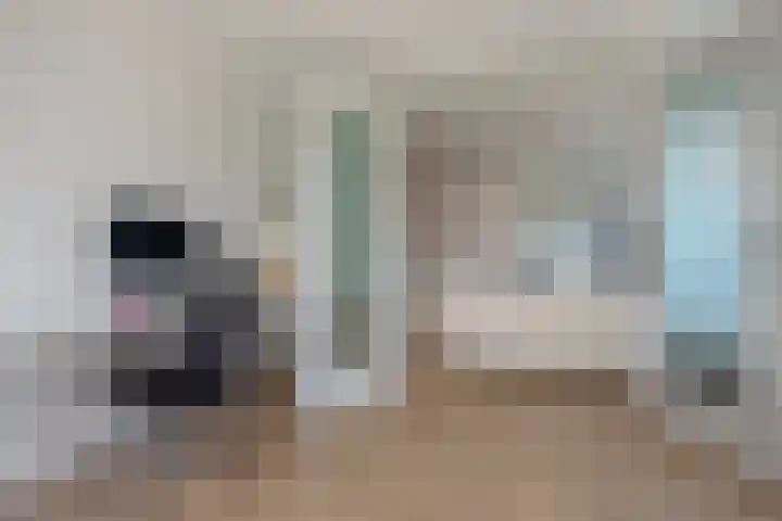 Steenvoordelaan 362 e Rijswijk thumbnail 10