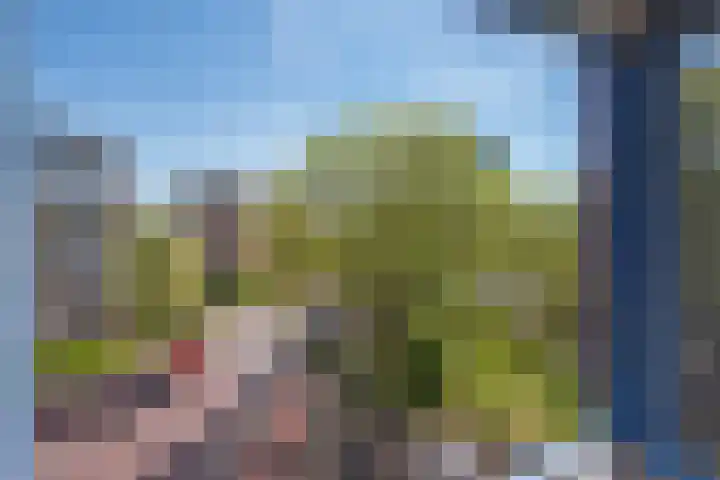 Steenvoordelaan 362 e Rijswijk thumbnail 12