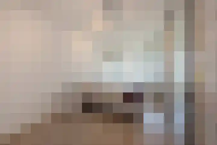 Steenvoordelaan 362 e Rijswijk thumbnail 13