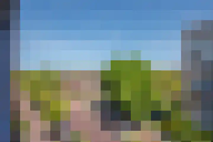 Steenvoordelaan 362 e Rijswijk thumbnail 15