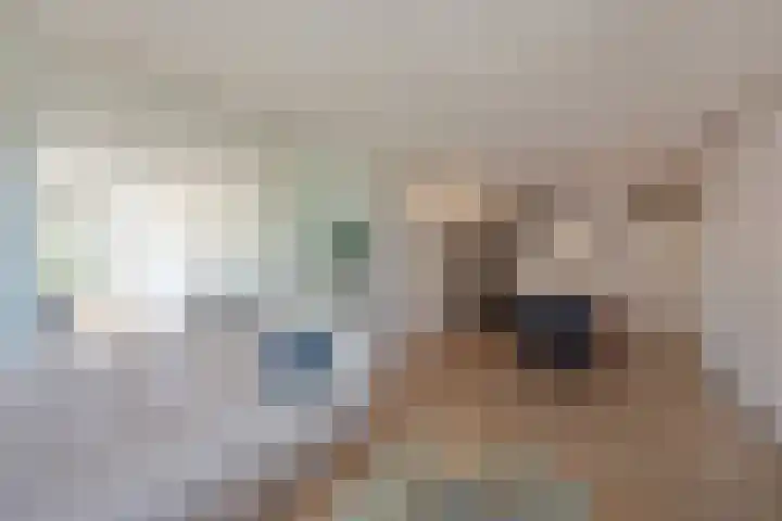 Steenvoordelaan 362 e Rijswijk thumbnail 8