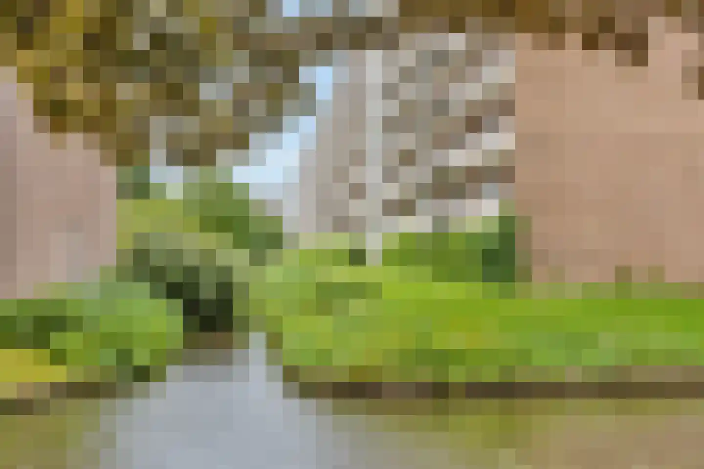 Steenvoordelaan 419 Rijswijk thumbnail 27