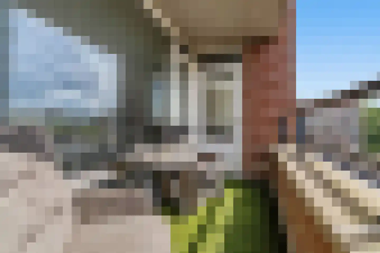 Steenvoordelaan 462 Rijswijk thumbnail 14