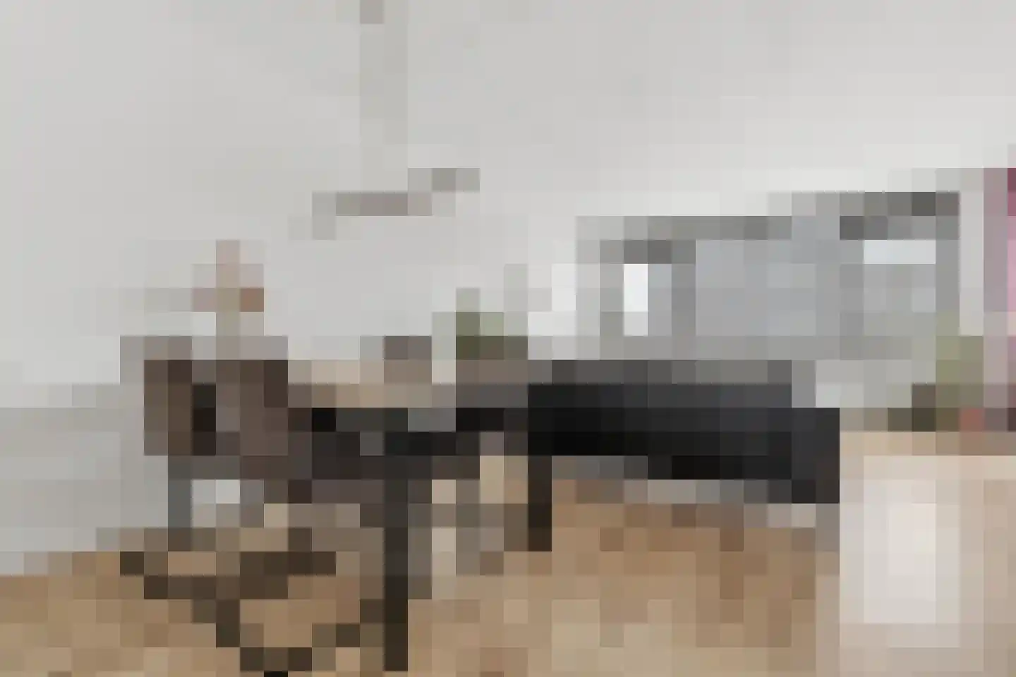 Steenvoordelaan 462 Rijswijk thumbnail 19