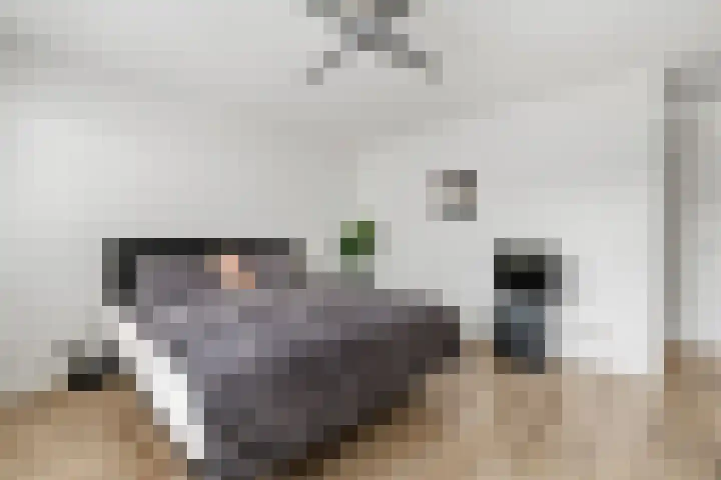 Steenvoordelaan 462 Rijswijk thumbnail 22