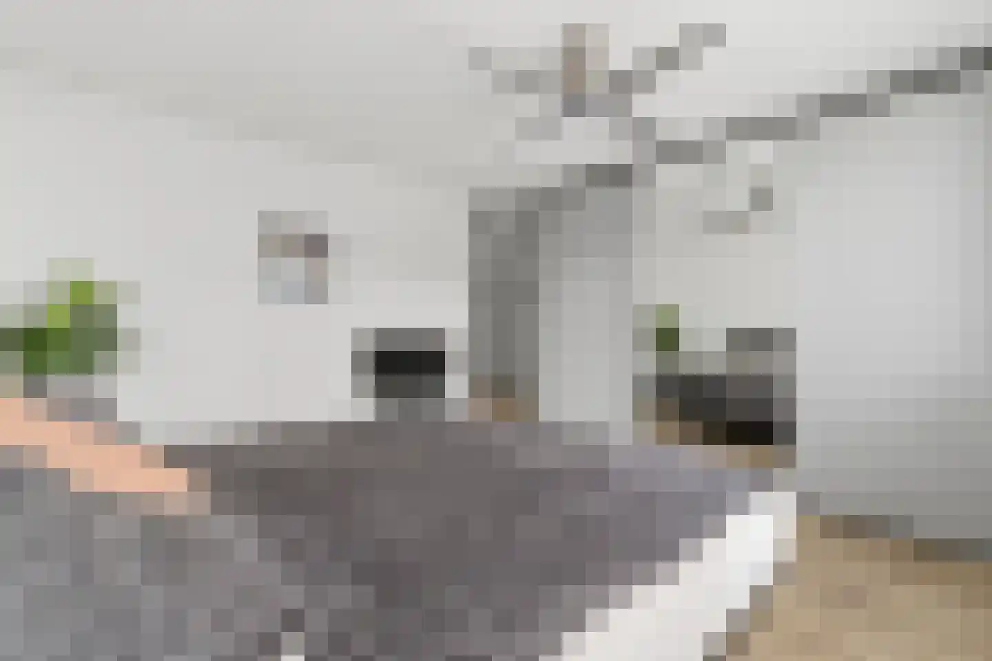 Steenvoordelaan 462 Rijswijk thumbnail 23