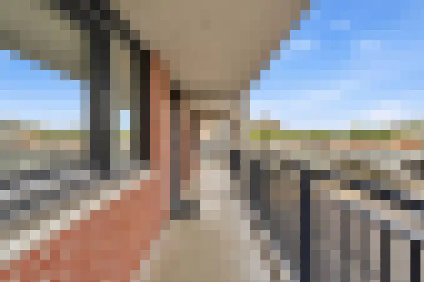 Steenvoordelaan 462 Rijswijk thumbnail 8