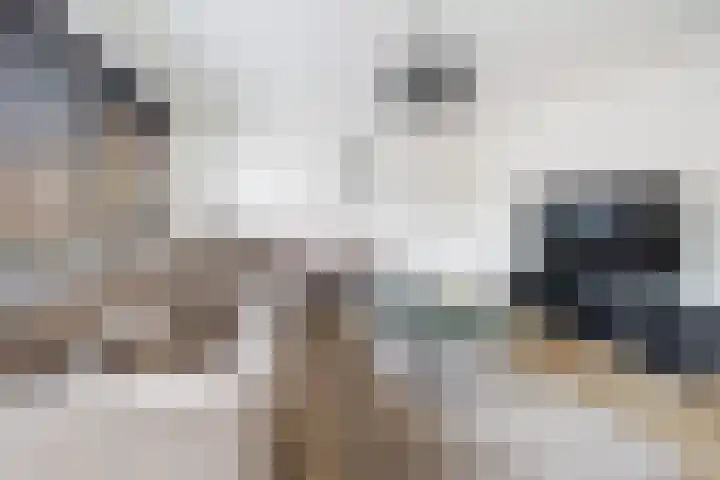 Steenvoordelaan 47 Rijswijk thumbnail 13