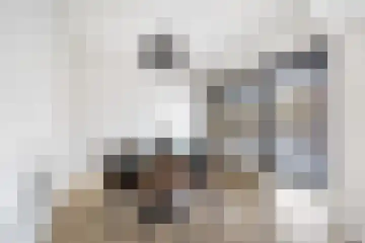 Steenvoordelaan 47 Rijswijk thumbnail 17