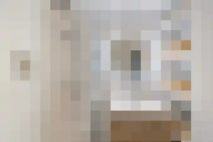 Steenvoordelaan 47 Rijswijk thumbnail 20