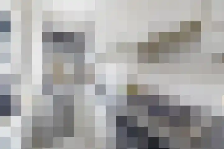 Steenvoordelaan 47 Rijswijk thumbnail 5