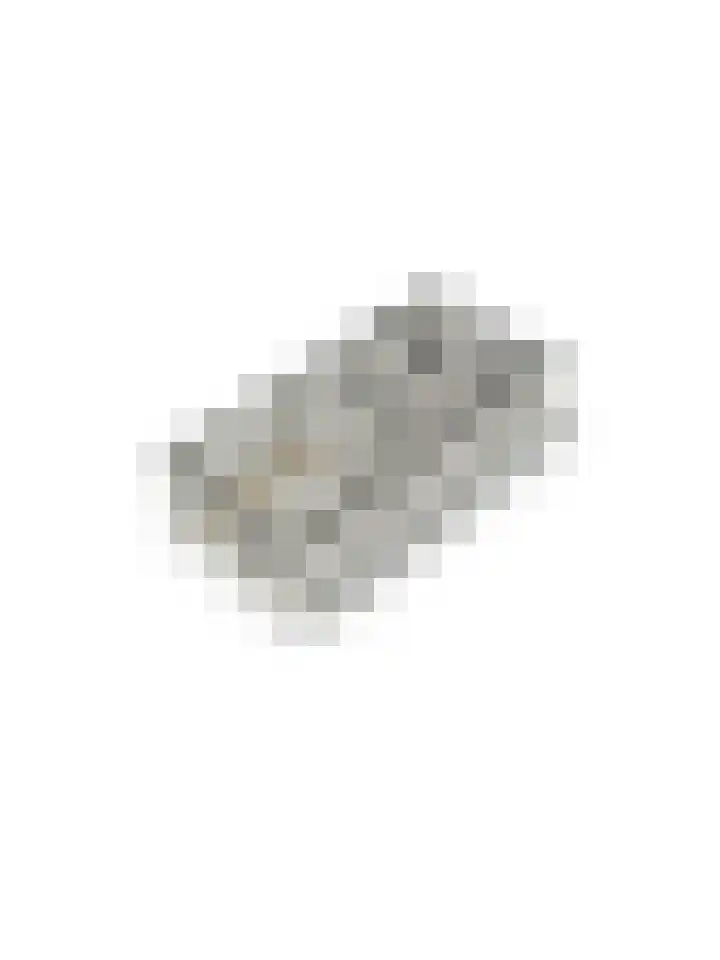Steenvoordelaan 478 Rijswijk thumbnail 32
