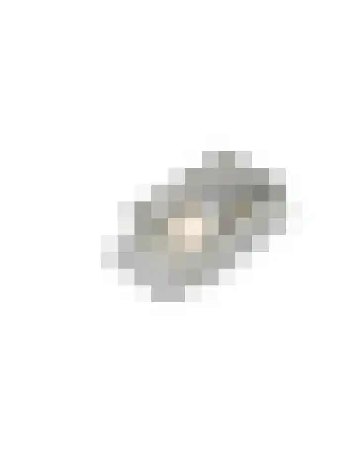 Steenvoordelaan 478 Rijswijk thumbnail 33