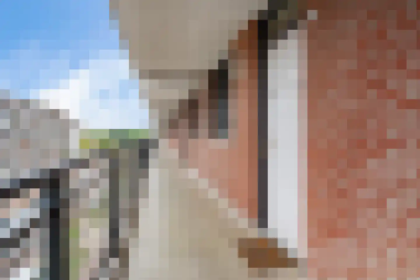 Steenvoordelaan 480 Rijswijk thumbnail 10