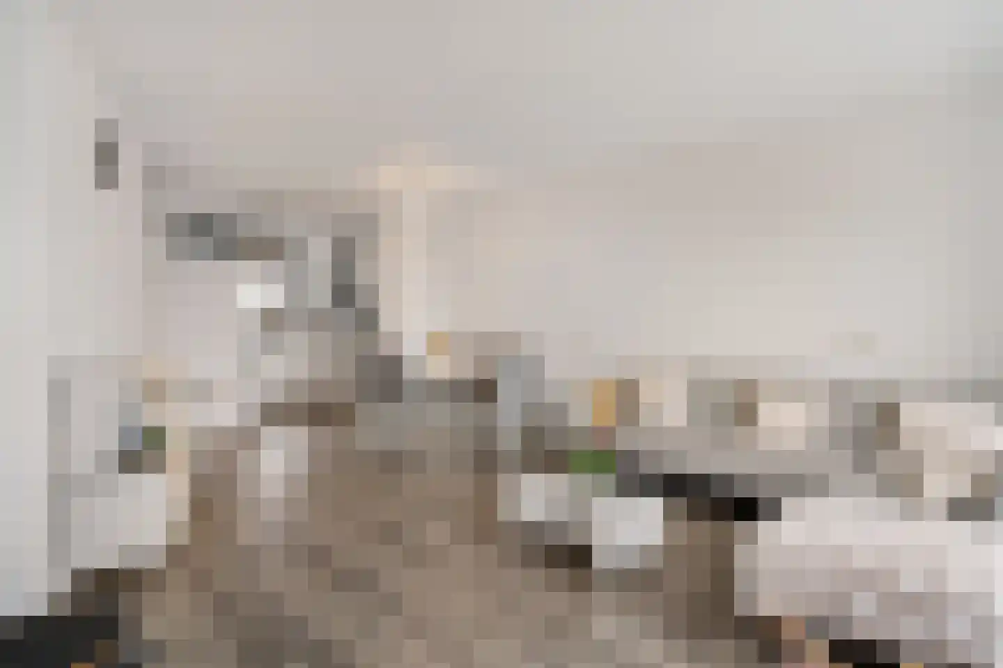Steenvoordelaan 480 Rijswijk thumbnail 14