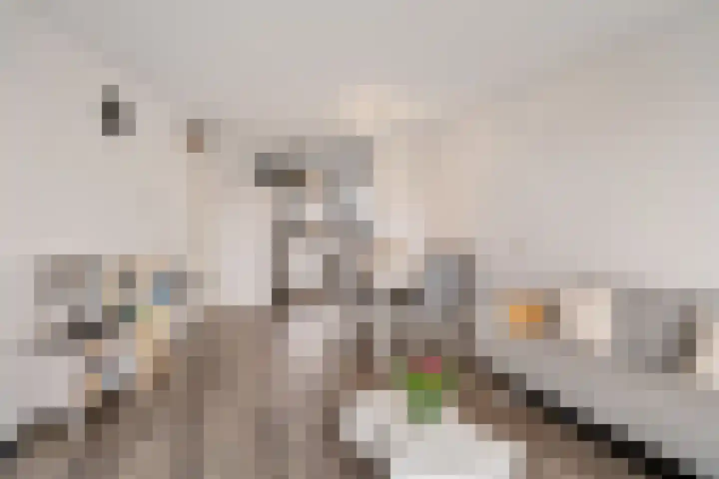 Steenvoordelaan 480 Rijswijk thumbnail 18