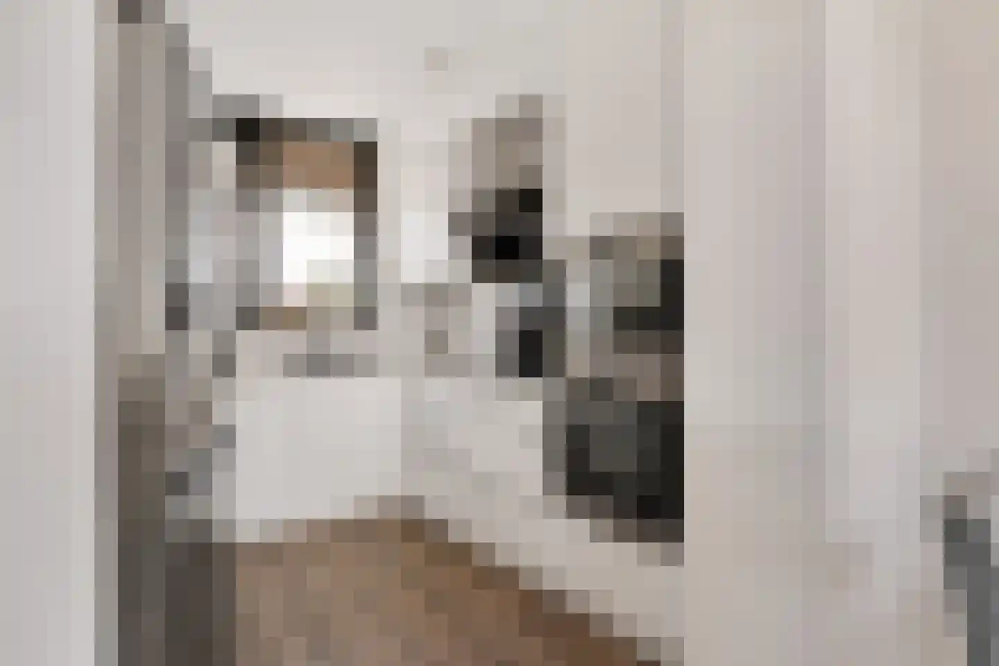 Steenvoordelaan 480 Rijswijk thumbnail 19