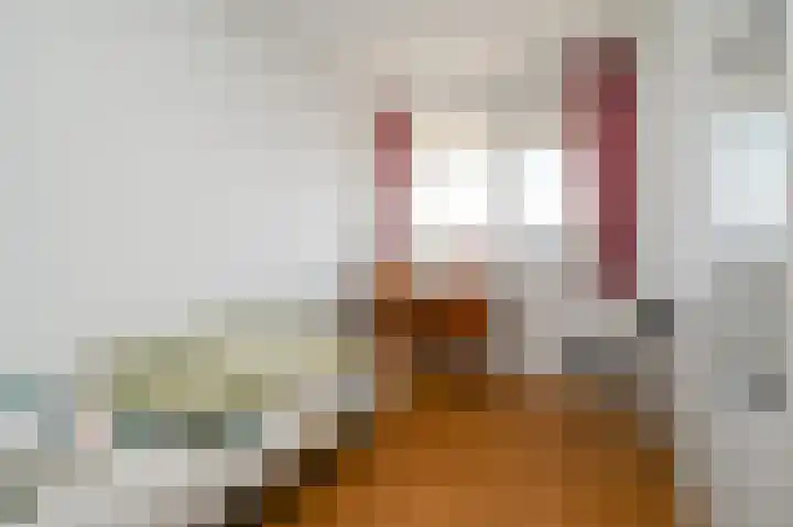 Steenvoordelaan 481 Rijswijk thumbnail 21