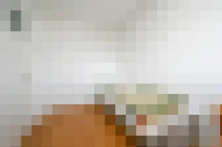 Steenvoordelaan 481 Rijswijk thumbnail 22