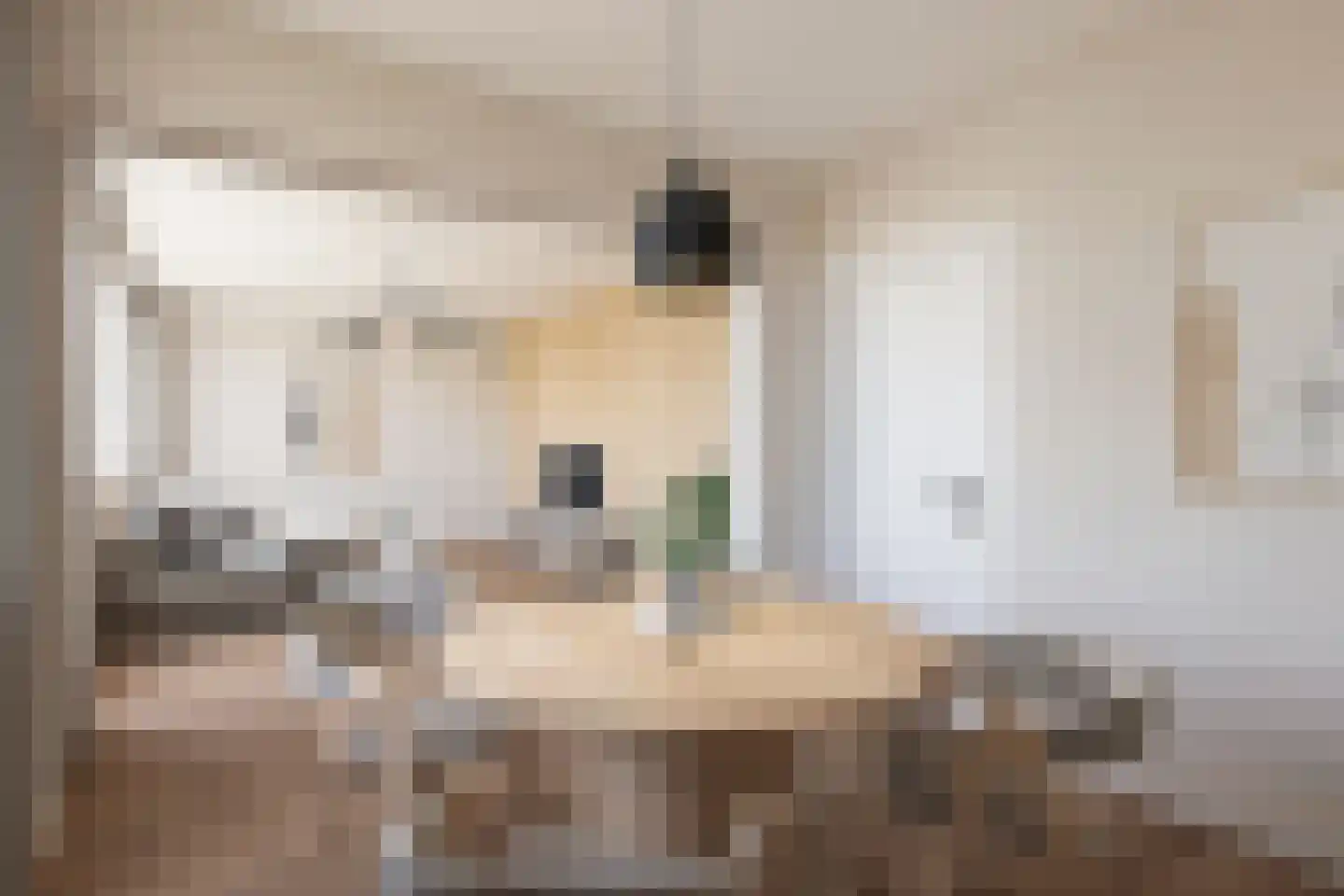 Steenvoordelaan 487 Rijswijk thumbnail 22