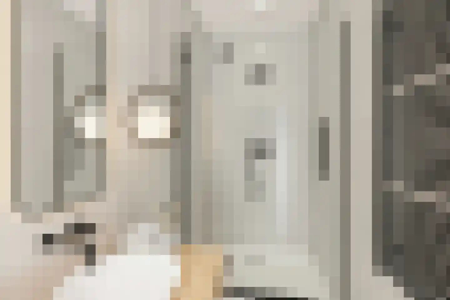 Steenvoordelaan 487 Rijswijk thumbnail 35