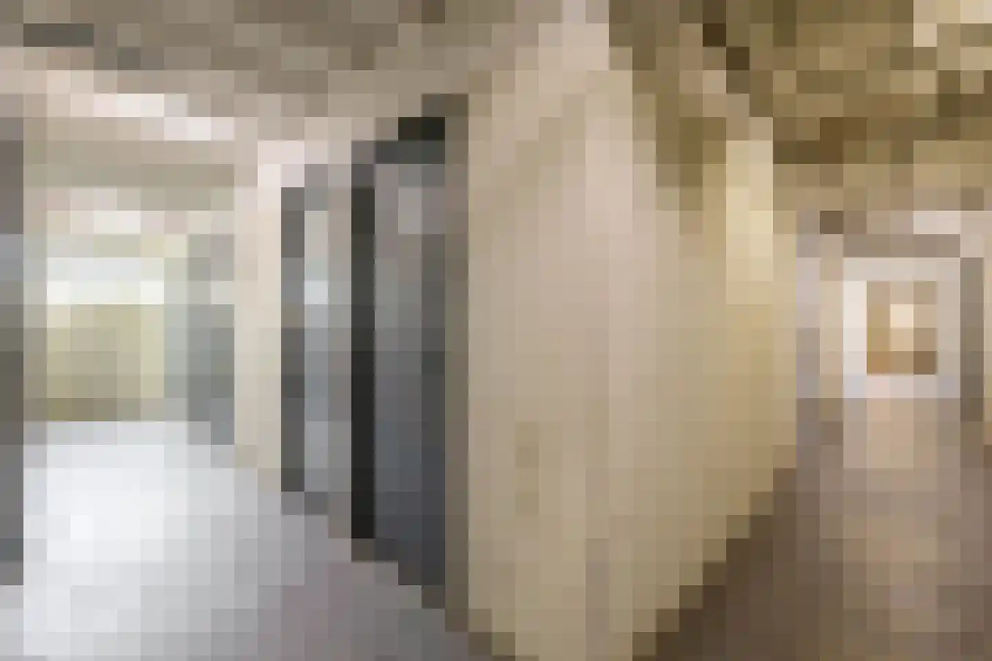 Steenvoordelaan 487 Rijswijk thumbnail 38