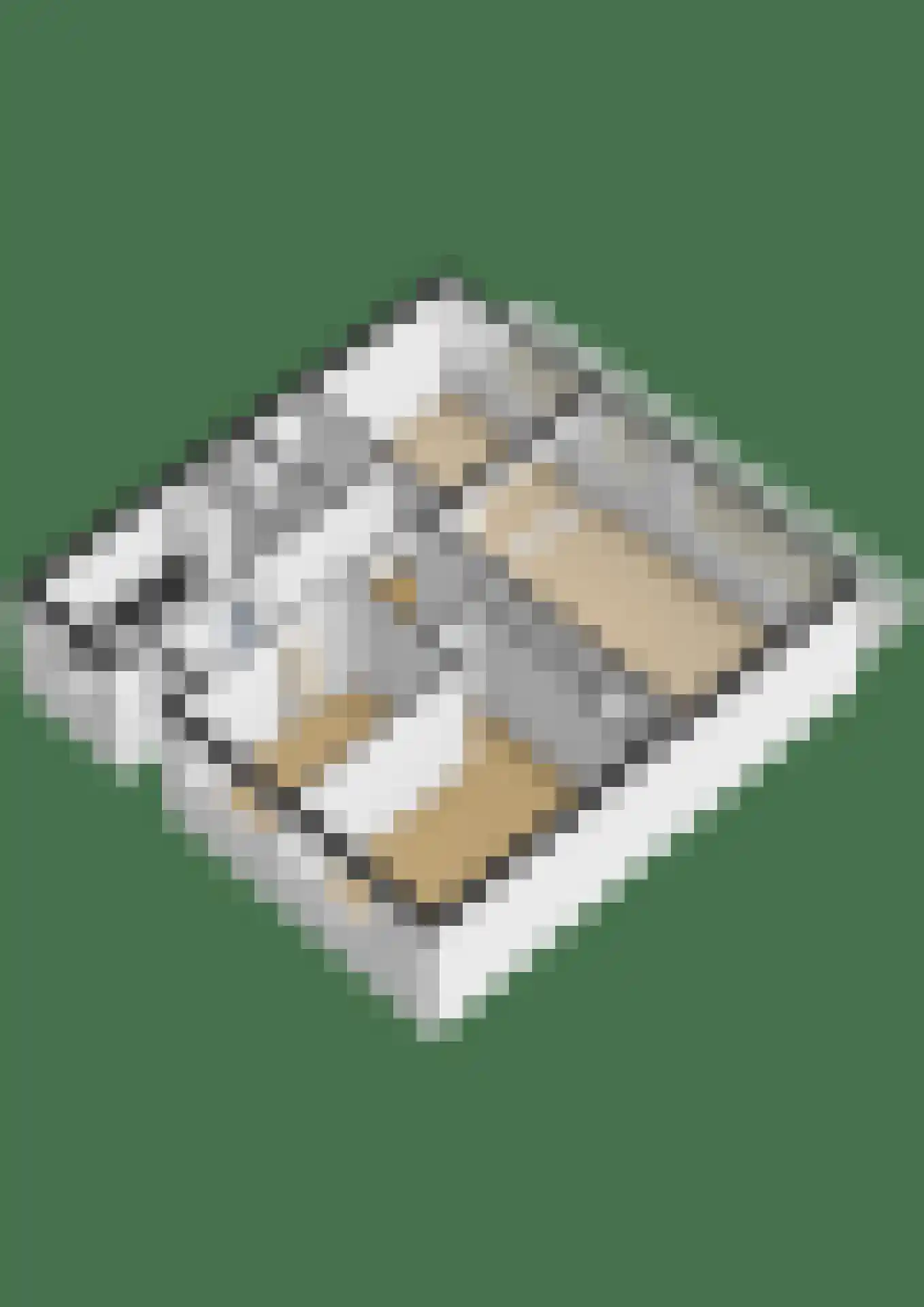 Steenvoordelaan 487 Rijswijk thumbnail 51