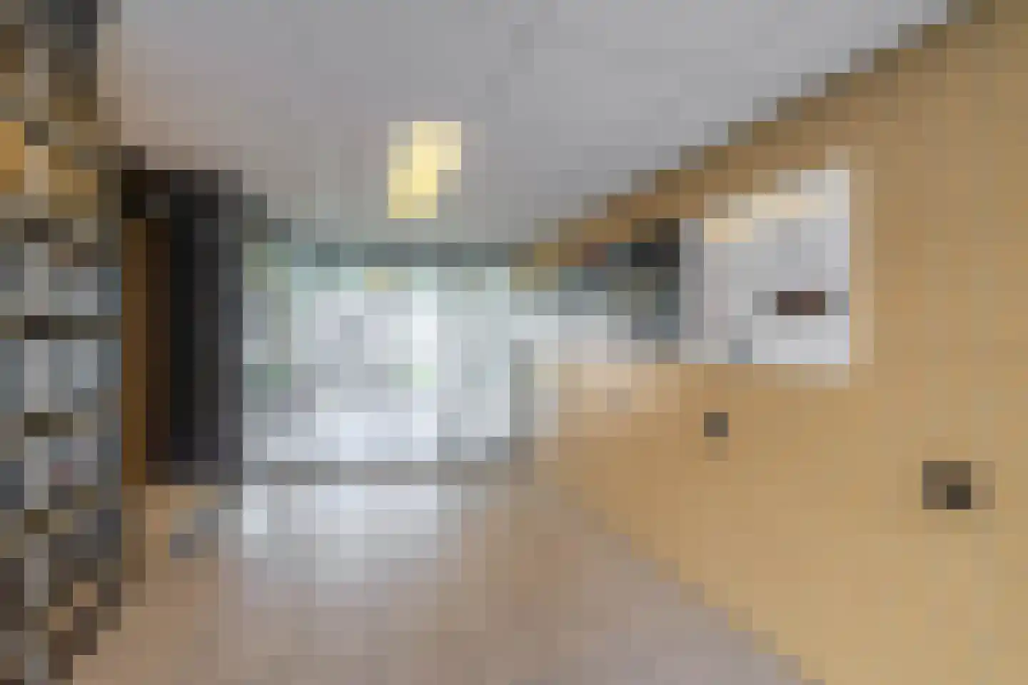 Steenvoordelaan 487 Rijswijk thumbnail 9