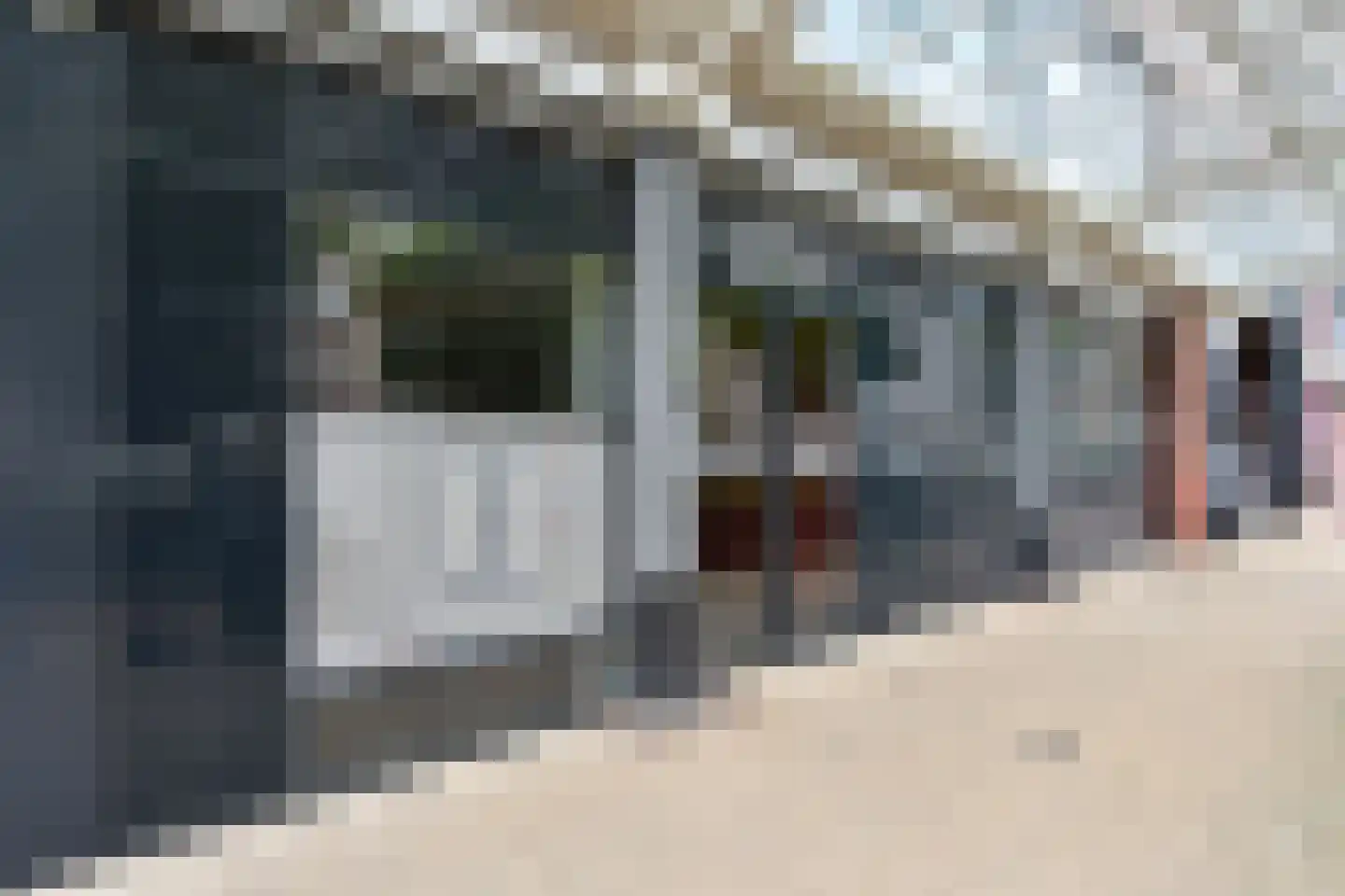 Steenvoordelaan 490 Rijswijk thumbnail 10