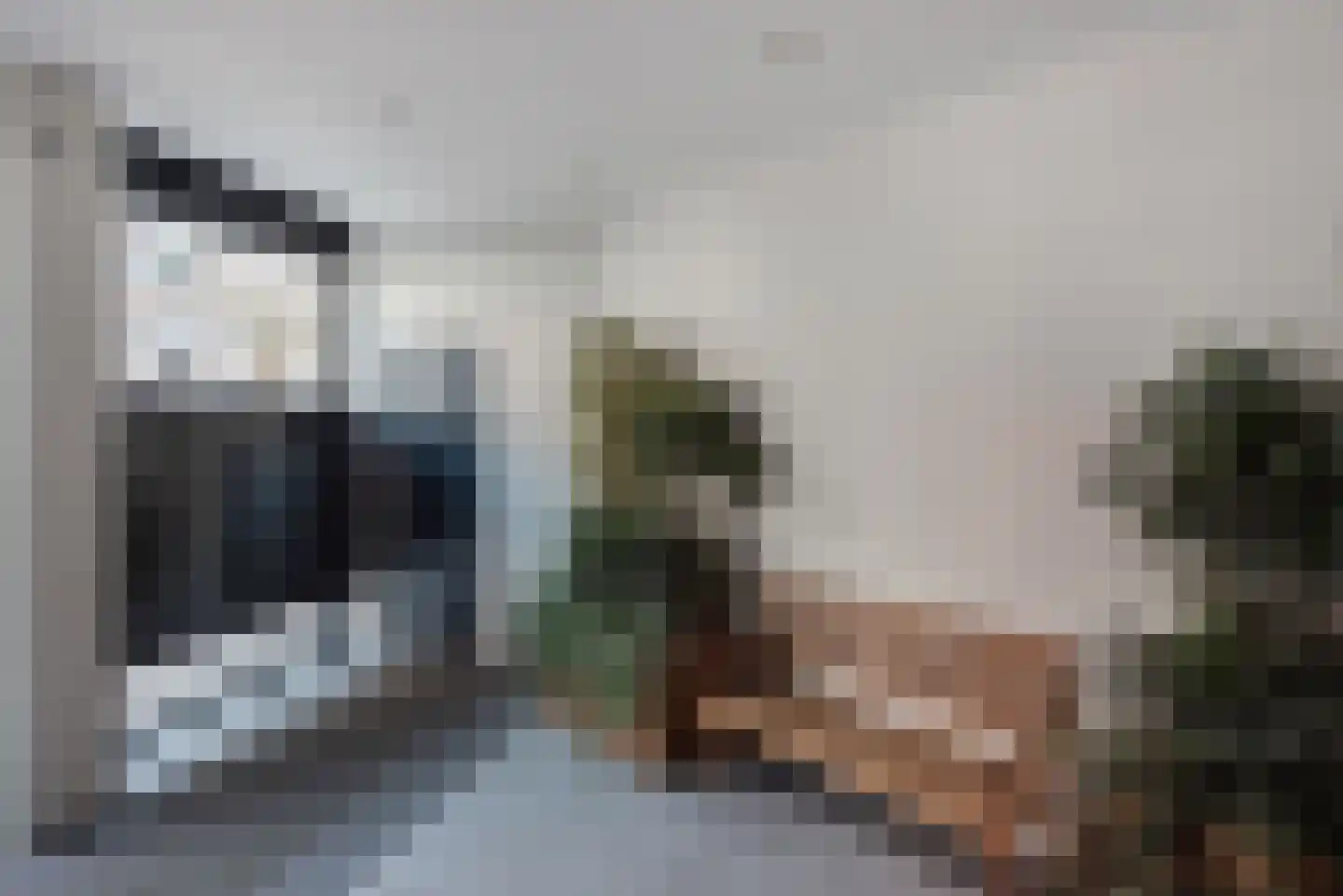 Steenvoordelaan 490 Rijswijk thumbnail 11