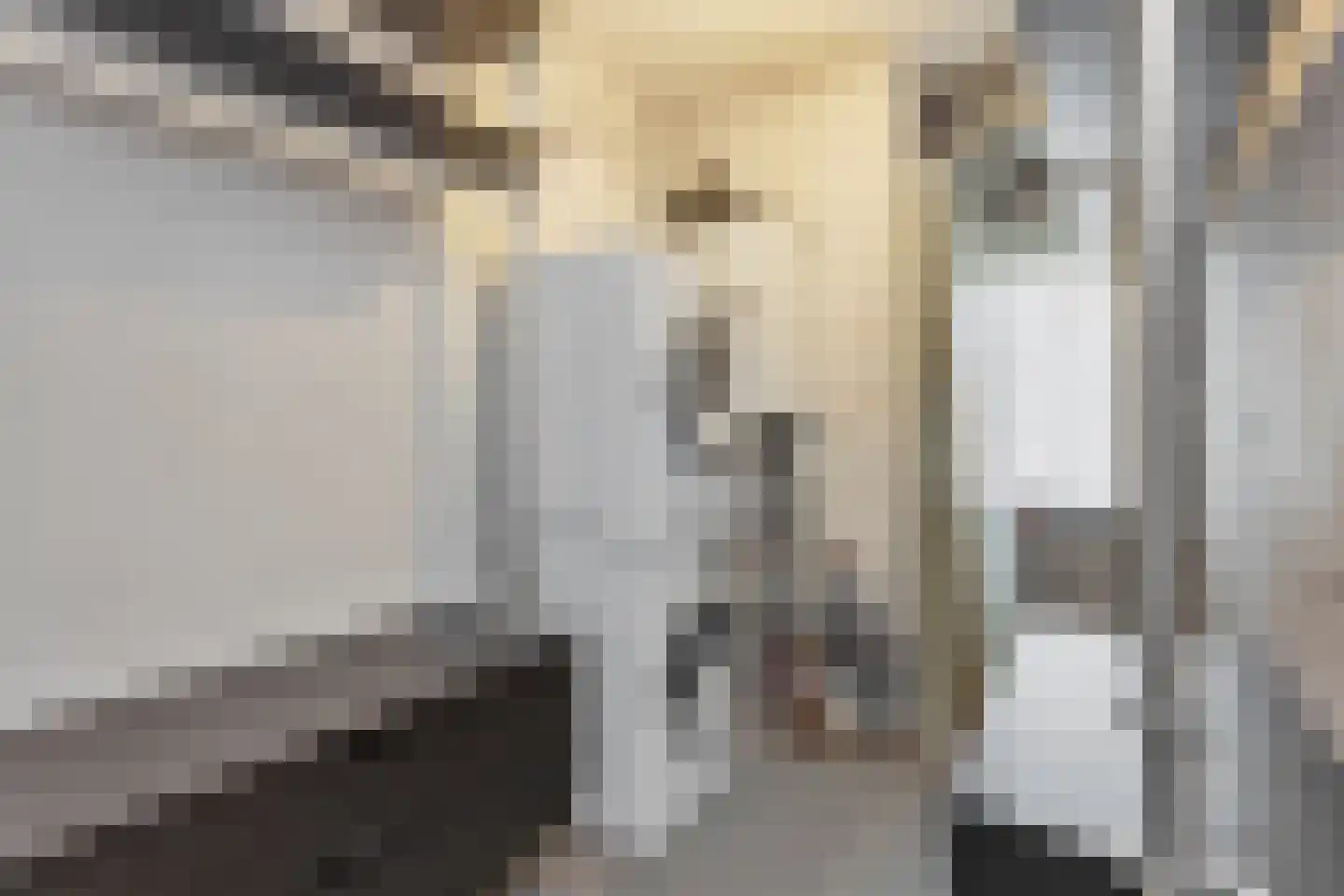 Steenvoordelaan 490 Rijswijk thumbnail 24