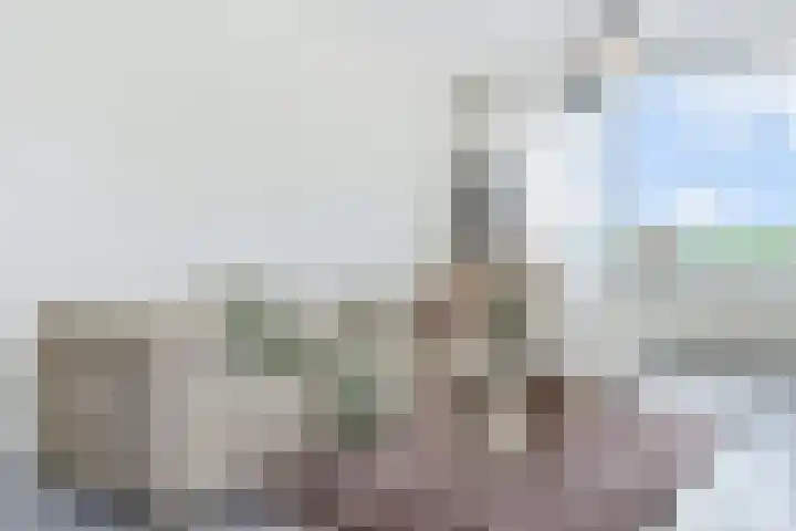 Steenvoordelaan 496 Rijswijk thumbnail 11