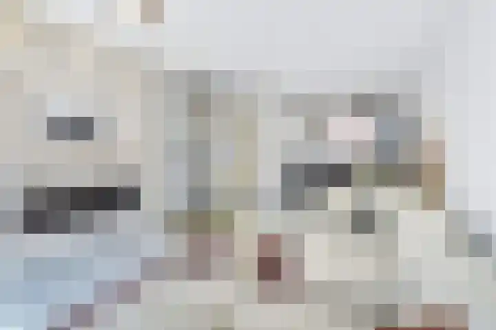 Steenvoordelaan 496 Rijswijk thumbnail 13