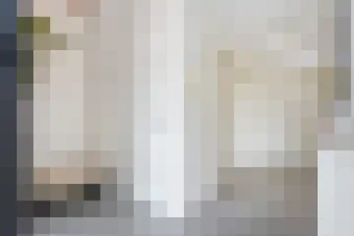 Steenvoordelaan 496 Rijswijk thumbnail 25