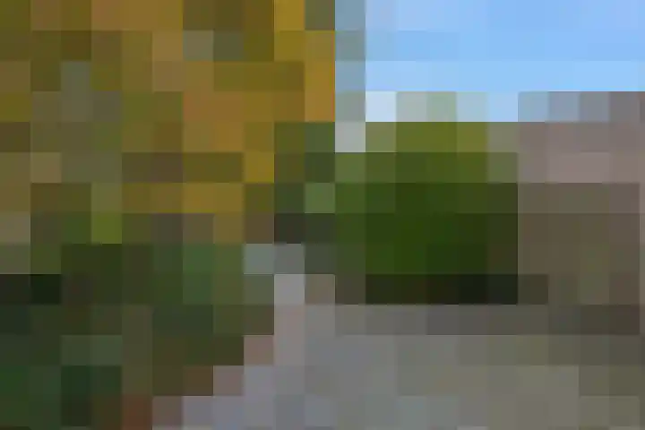 Steenvoordelaan 9 a Rijswijk thumbnail 13